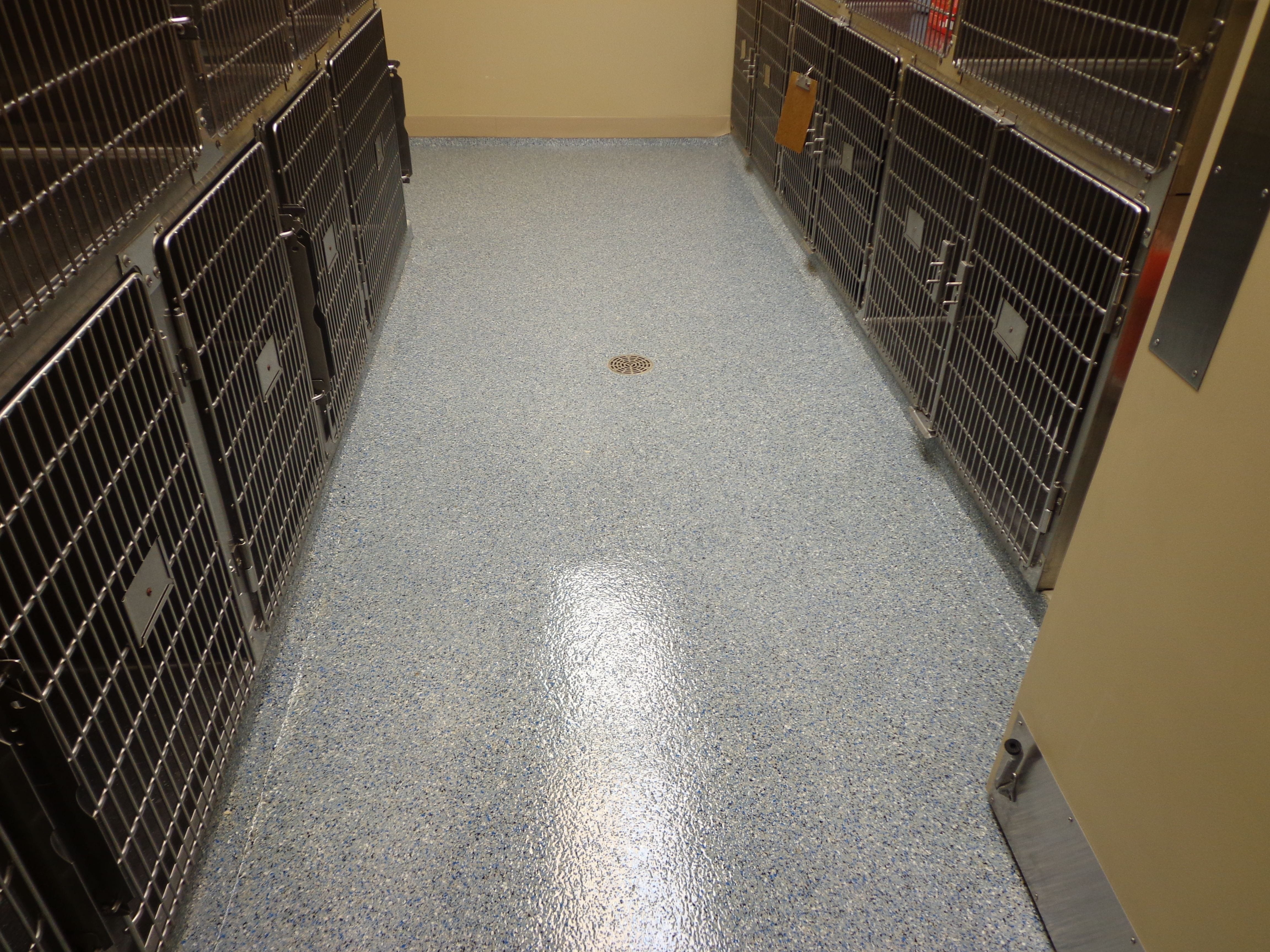 quartz floor in animal shelter